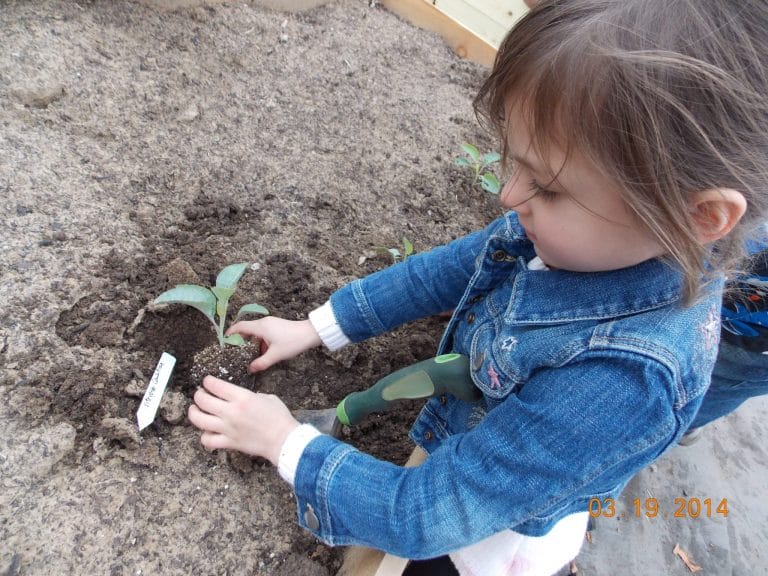 What can you do in the garden in March to make sure your garden season is the best it can be? March is an exciting time in the garden. So much to do!