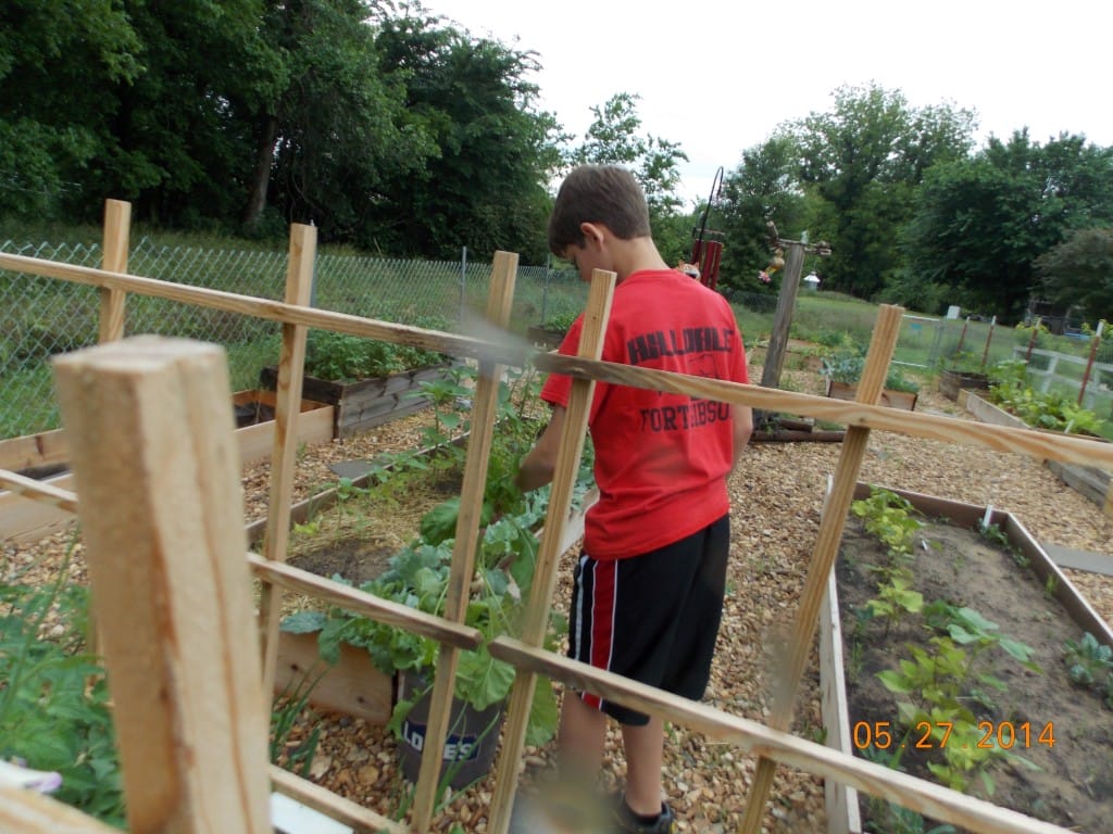 school age kids working in the daycare garden