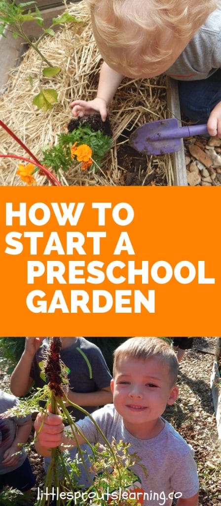 kids harvesting food from a preschool garden