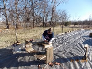 building raised beds out of discarded used privacy fence panels