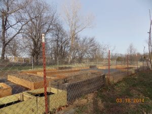 preschool garden coming together