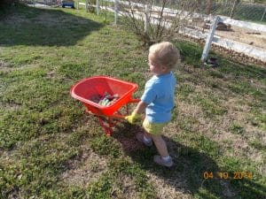 young child moving a wheel barrow of rocks into garden