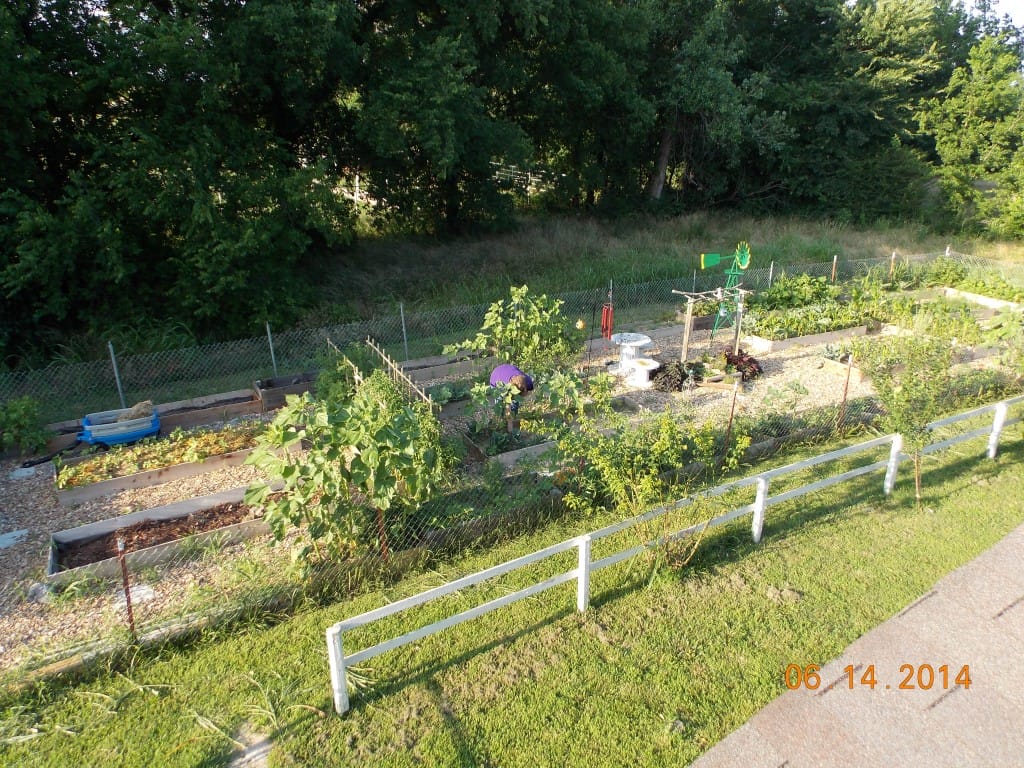 4 Steps to Start a Children's Garden in Your Daycare