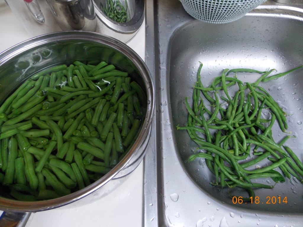 sink with green beans and pan full of snapped green beans