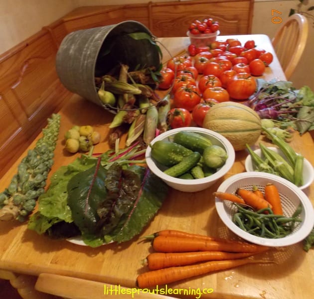 water and rain in the garden