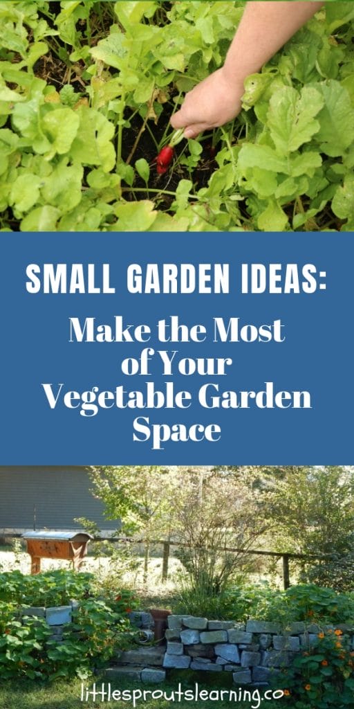 small garden spaces growing food
