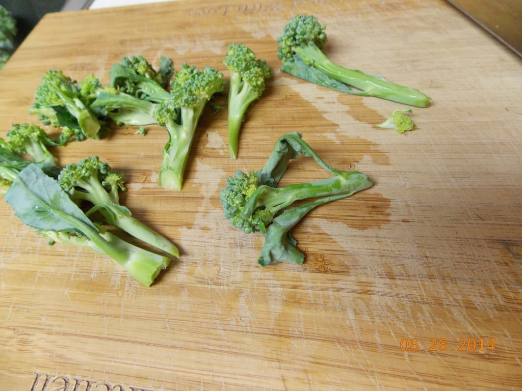 broccoli florets on a cutting board getting ready for roasting