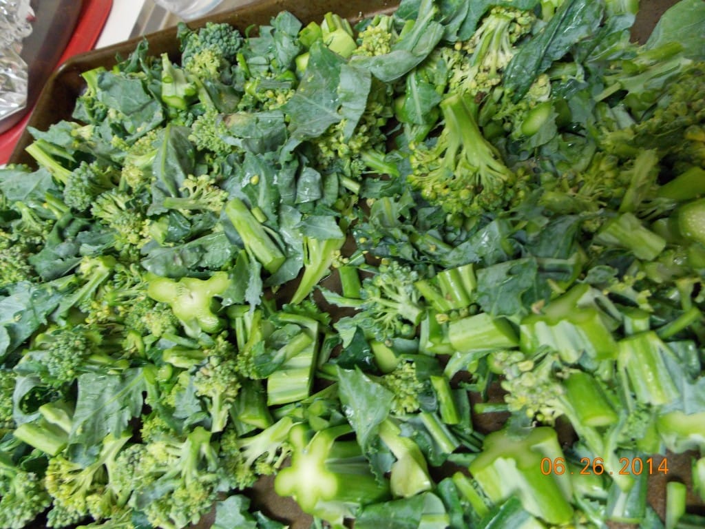 cut up broccoli on a cookie sheet ready to go in the oven and be roasted