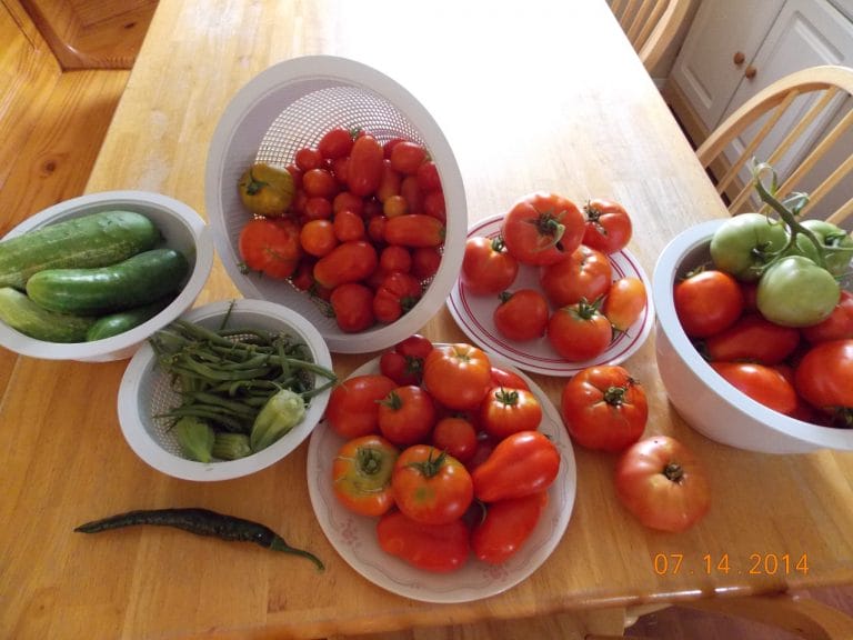 There’s that certain time of the year when produce from your garden is drowning you from every side. What do you do with all the excess tomatoes your garden produces? You know in a few months, you’ll be longing for those delicious home-grown tomatoes again and they will be nowhere near.