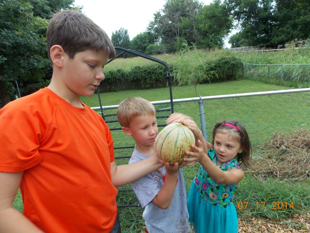 Kids carrying a canteloupe from the preschool garden to taste