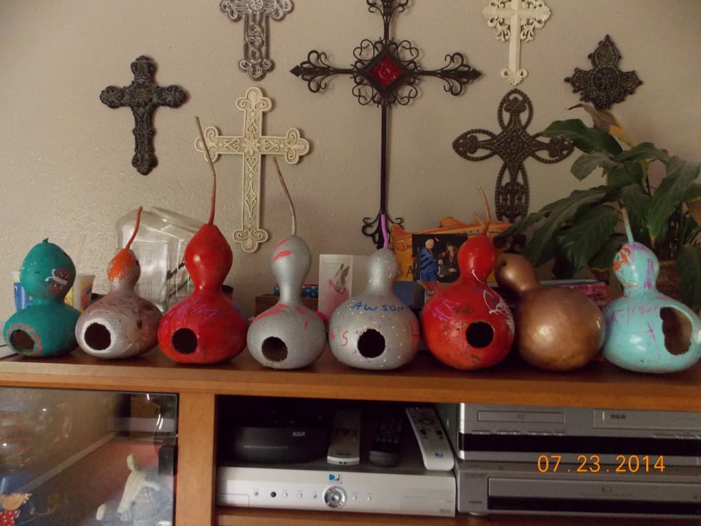 birdhouse gourds painted and turned into birdhouses