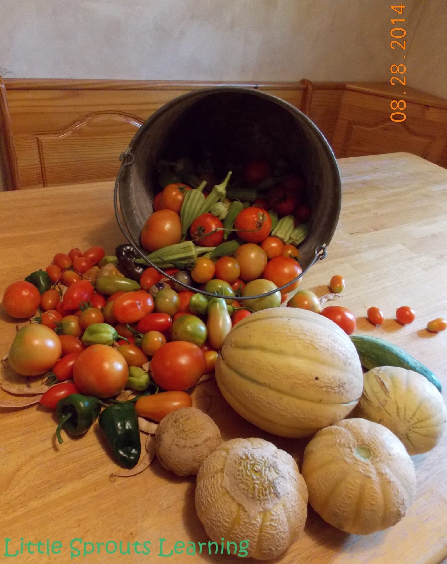 One of the best things about gardening in Oklahoma zone 7 is the long growing season and plentiful sunshine. Heat loving plants are key for success.