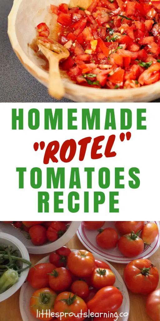 Homemade Rotel Tomatoes Recipe