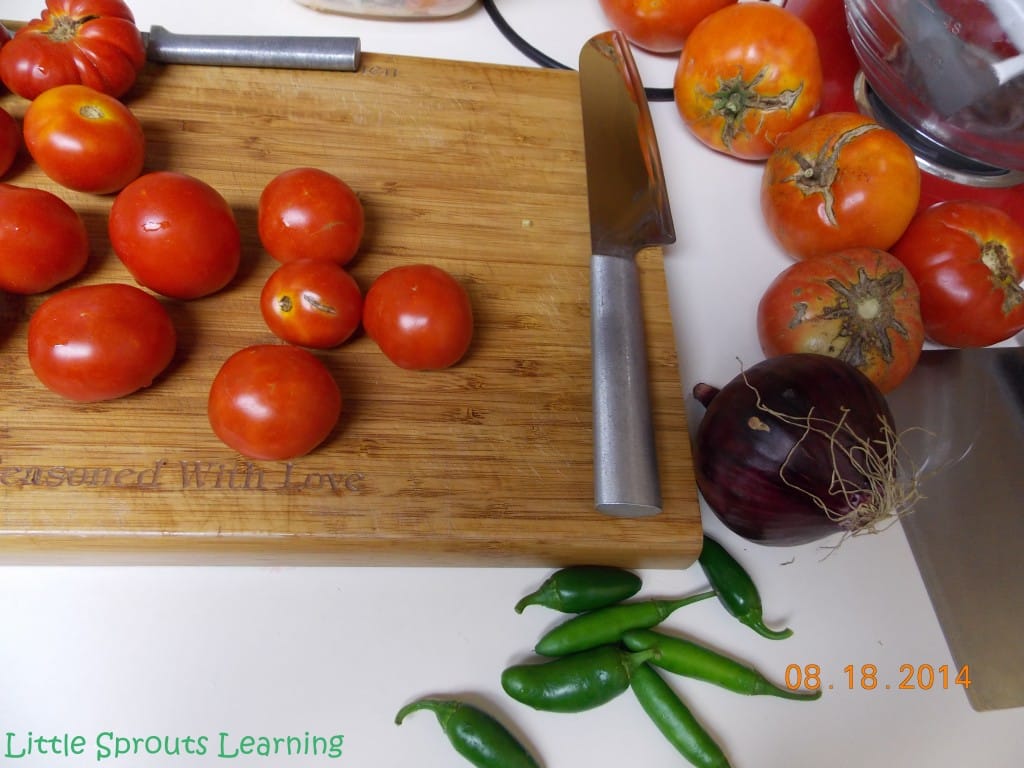 Homemade Rotel ingredients on a cutting board: tomatoes, hot peppers, onion and a knife.