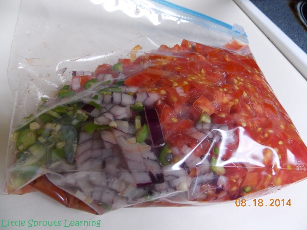 homemade rotel from the freezer