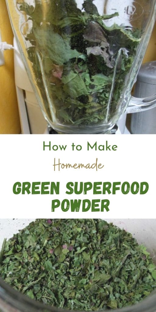 Preserving the harvest is a great way to get more out of your garden! Sometimes the garden gives a ton of surplus. Learning to dehydrate greens and herbs is a great way to preserve vital nutrients and flavors for later use.