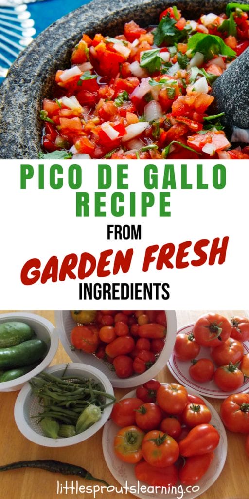 Pico de Gallo Recipe from Garden Fresh Ingredients