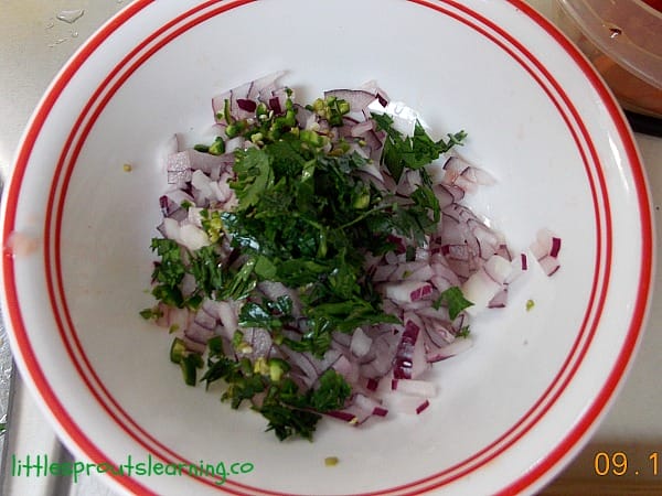 onions and cilantro in a bowl