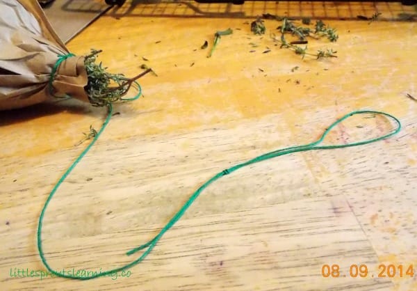 How to Dehydrate Greens and Herbs and Make Homemade Green Powder