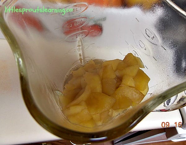 blender full of cooked apple chunks