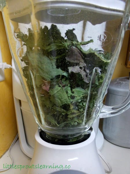 How to Dehydrate Greens and Herbs and Make Homemade Green Powder