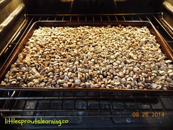 Sunflower seeds roasting in the oven