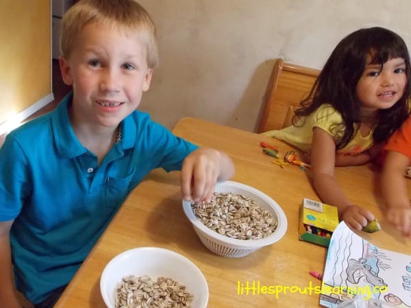 kids sorting sunflowers in a bowl