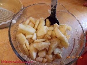 apple crisp filling