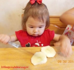 young child cutting apples into chunks with a butter knife