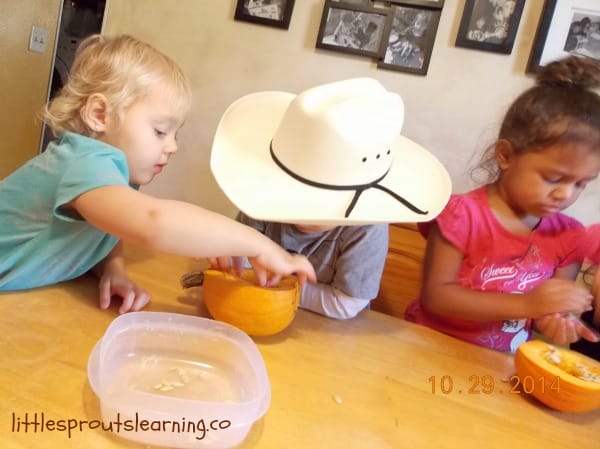 kids removing pumpkin guts from a pumpkin at the table to make kid-friendly pumpkin pie