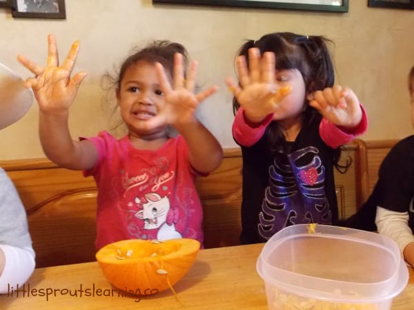 pumpkin guts and pumpkin exploration, kids removing pumpkin guts and showing their sticky hands.