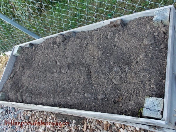 topped off raised bed, preparing vegetable garden beds for winter
