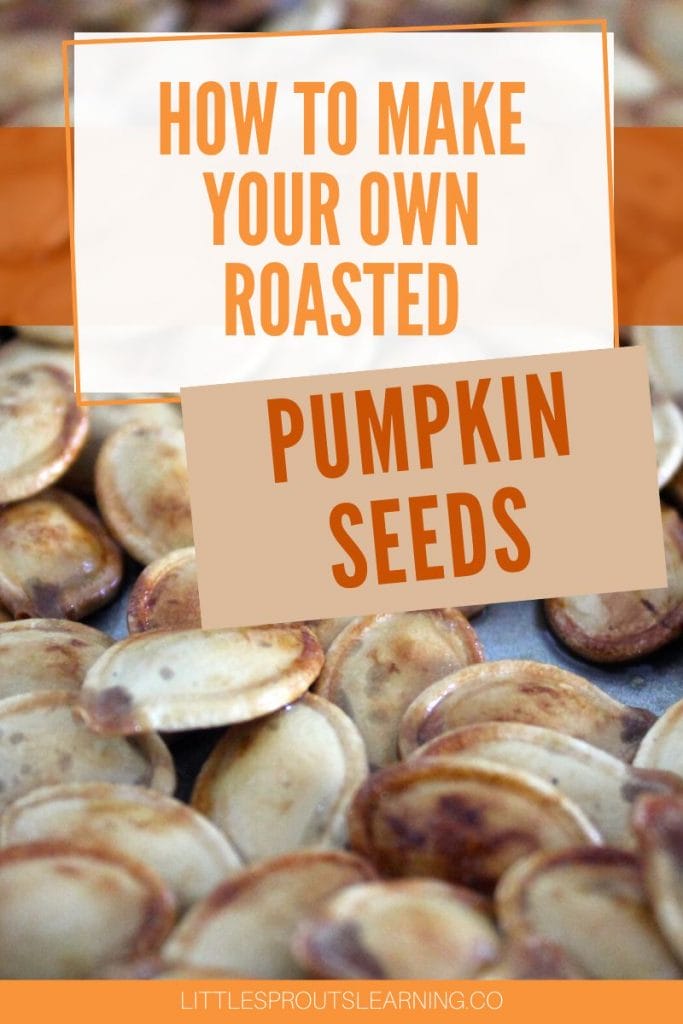 roasted pumpkin seeds spread out on a sheet pan