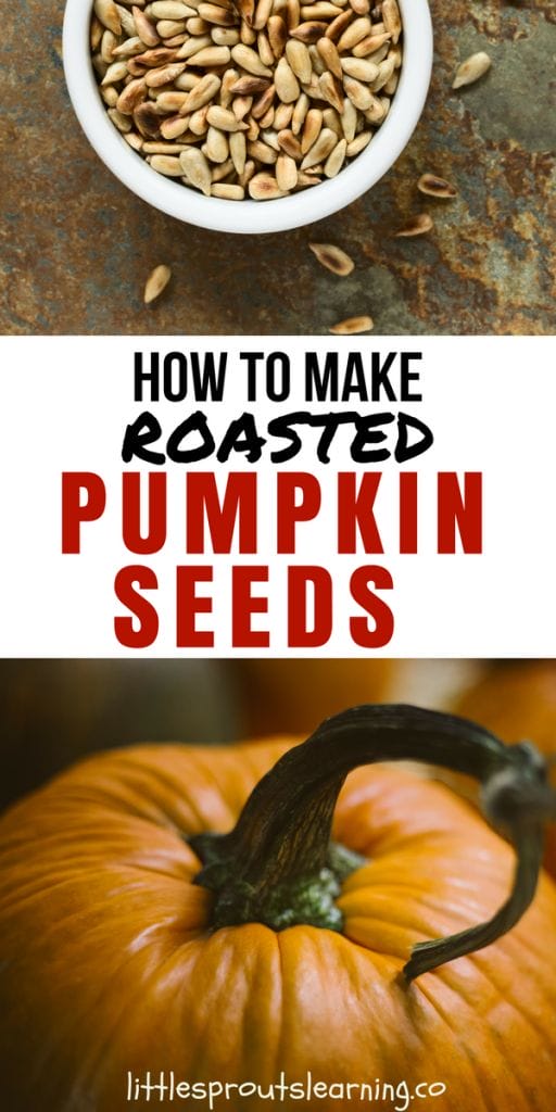 roasted seeds and a pumpkin