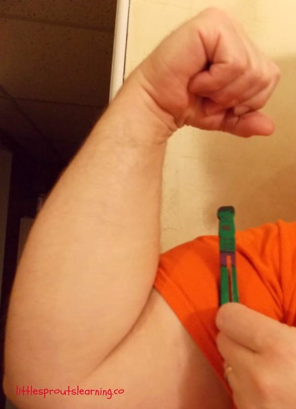 hulk ornament and flexed muscle