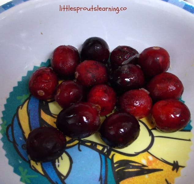 bowl of fresh cranberries