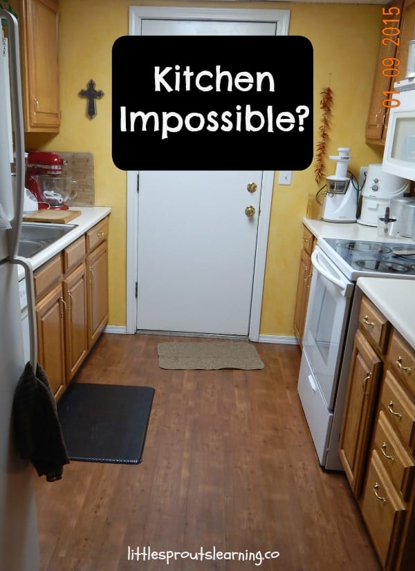 tiny galley kitchen