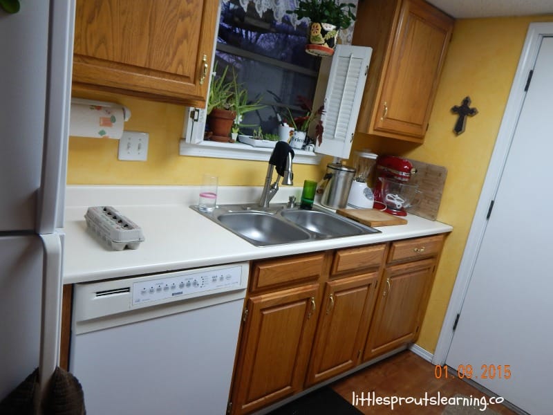 small space kitchen with a few cabinets, a sink, a dishwasher and a fridge