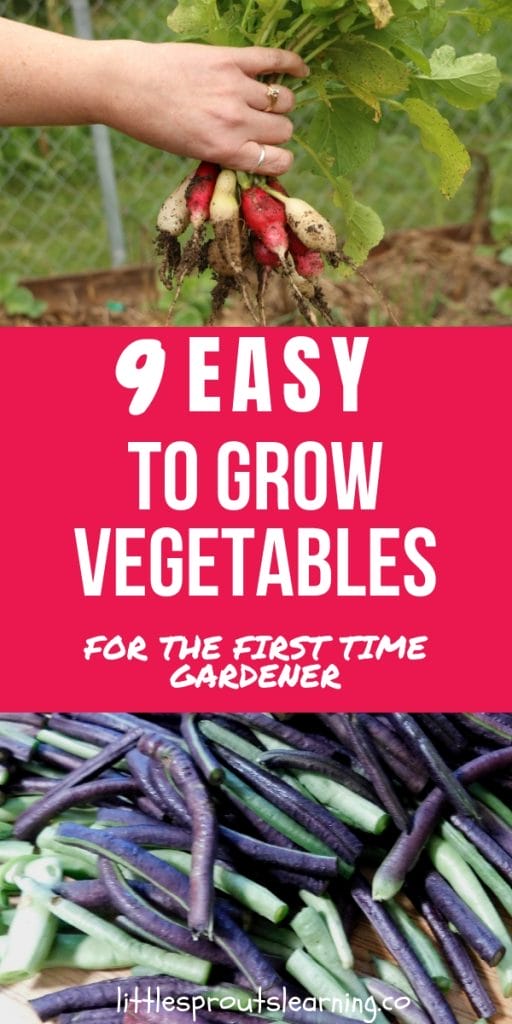 a bunch of radishes being held up and a cutting board full of cut green beans