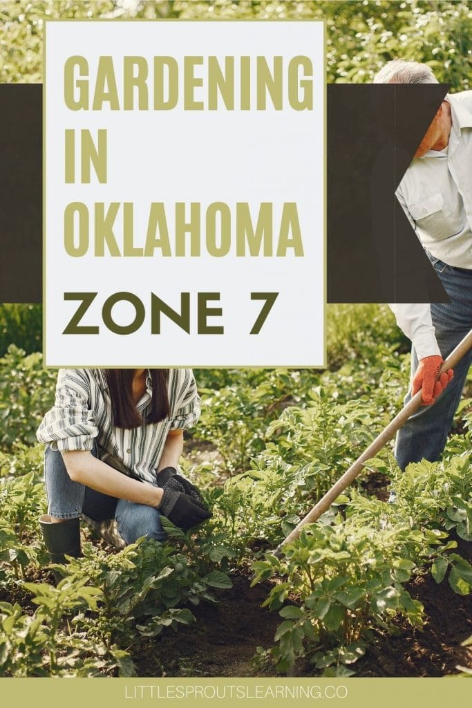 Two people tilling between rows in the zone 7 garden