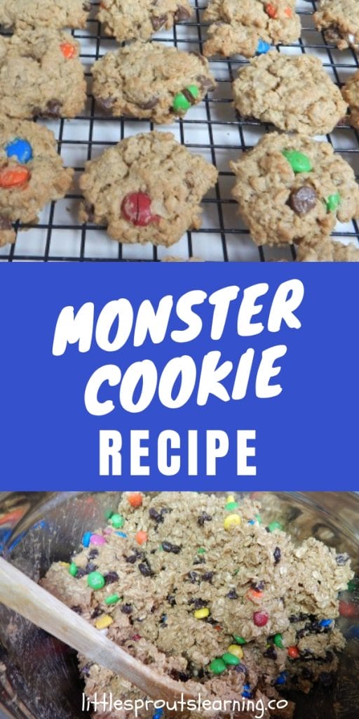 Wanna make the best cookies you ever ate? Check out this no flour monster cookie recipe for all the cookie monsters in your life.