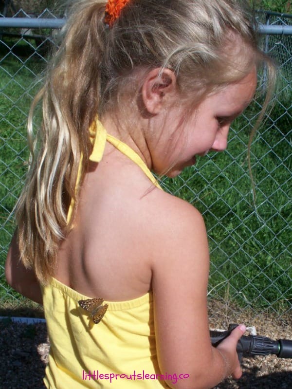 butterfly landing on a child's back in the butterfly garden