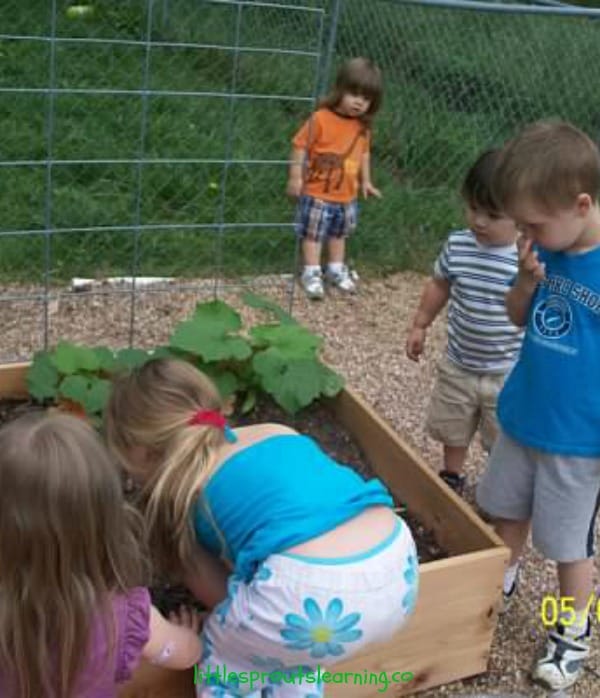 A children's garden is full of sensory experiences, science, math and so much more. Get inspired to build a daycare garden for your kids in 4 easy steps.