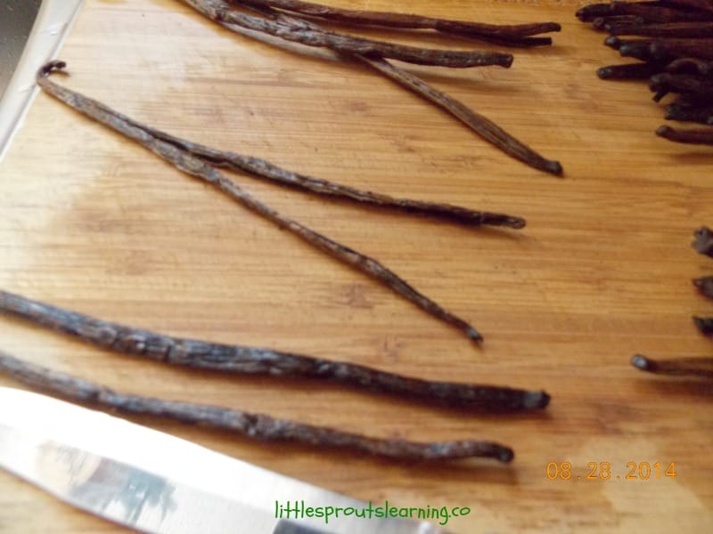 Making your own homemade vanilla extract is much easier than you might think. Once you taste it, you're not going to want to go back.