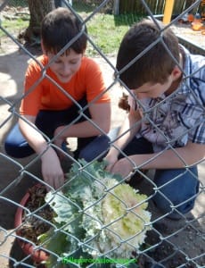 teenage gardeners recreating a picture from 10 years before. 