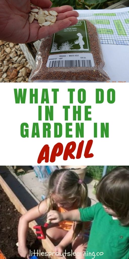 Kids digging in the garden and a handful of seeds.
