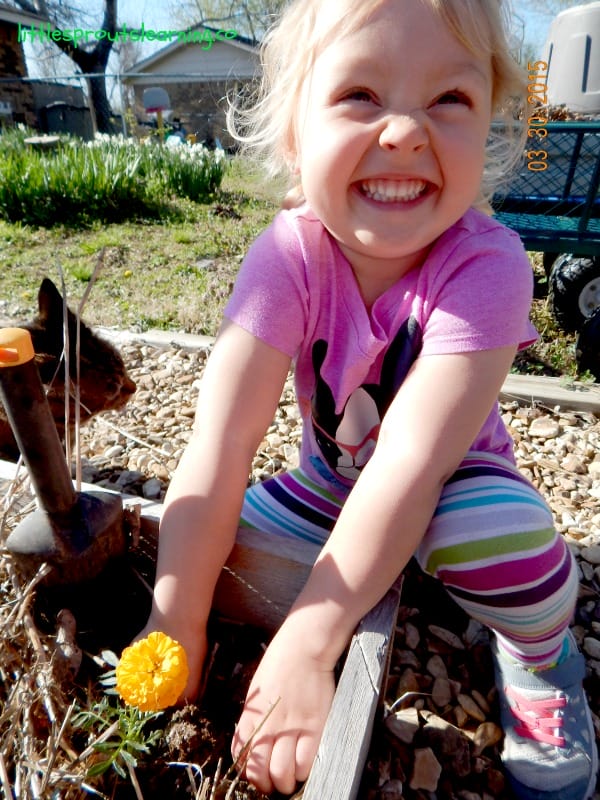 a child in the garden doing garden chores.