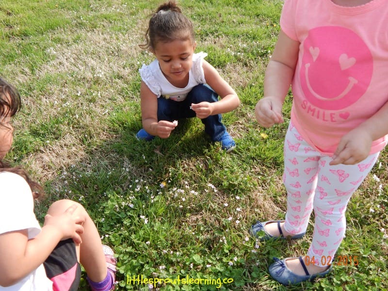 kids picking flowers from the grass