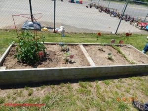 3 year old garden