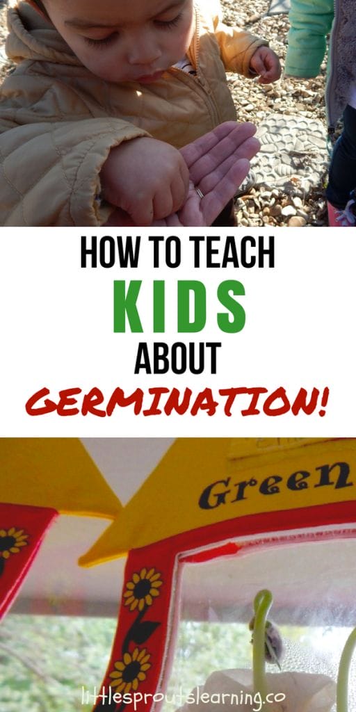 KIDS ABOUT GERMINATION!